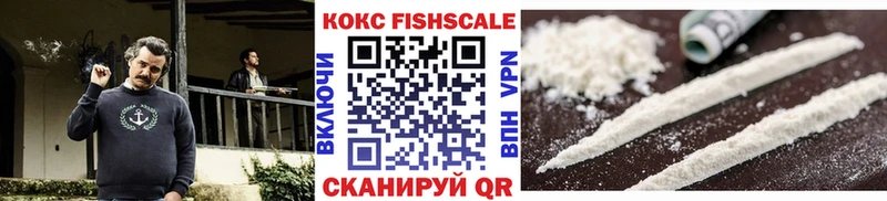 Cocaine FishScale  купить  цена  Магас 