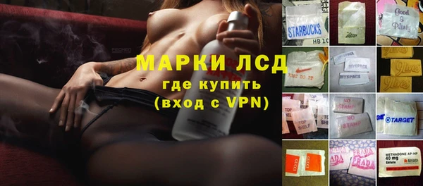 прущие грибы Аркадак