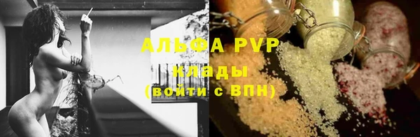 прущие грибы Аркадак