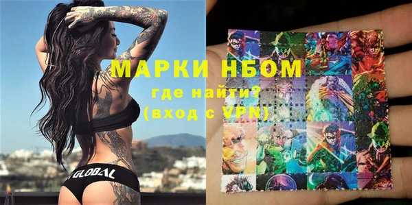 прущие грибы Аркадак