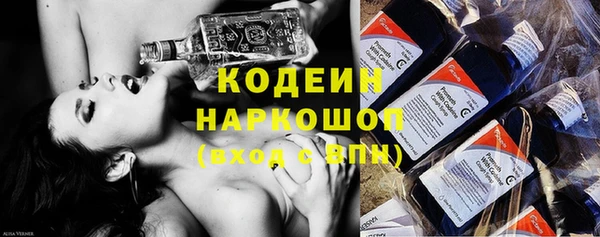 прущие грибы Аркадак