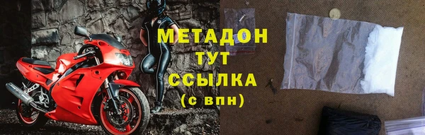 прущие грибы Аркадак
