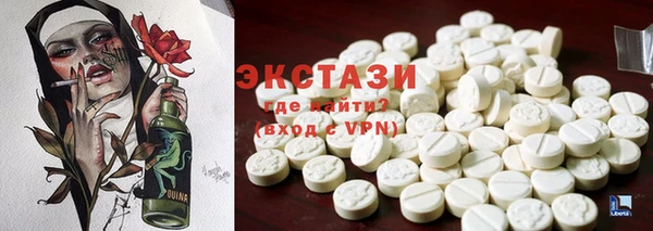 прущие грибы Аркадак
